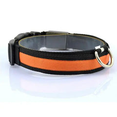 LED Dog Collar with Light Strip for Illumination