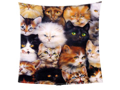 Cartoon Beach Blanket and Baby Wrap Blanket